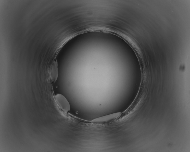 X0000089910905200707131346