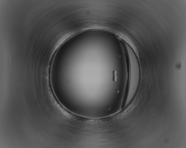 X0000089910906200707131346