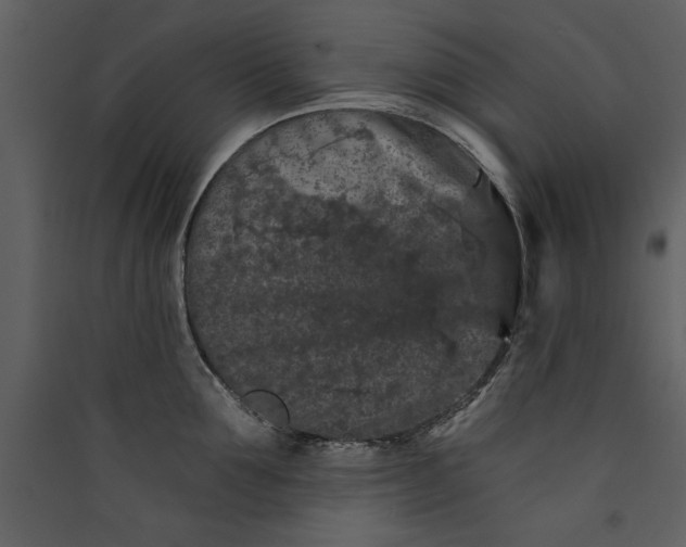 X0000089910907200707131346