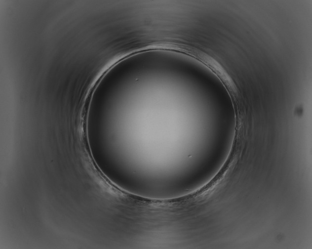 X0000089910908200707131346