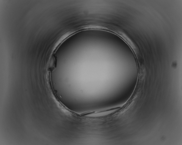 X0000089910909200707131346