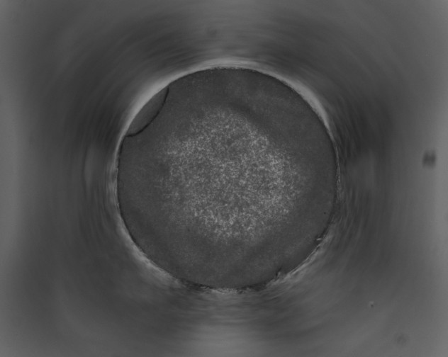 X0000089910911200707131346