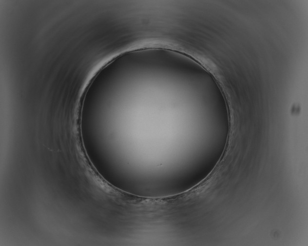 X0000089910912200707131346