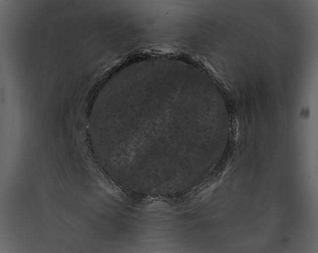 X0000089910913200707131346