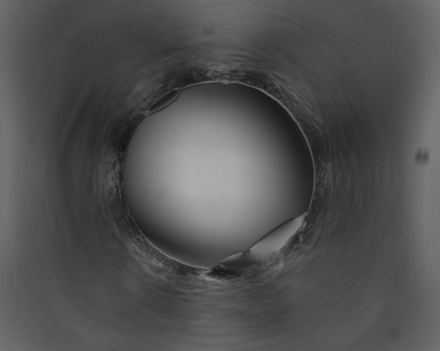 X0000089910914200707131346