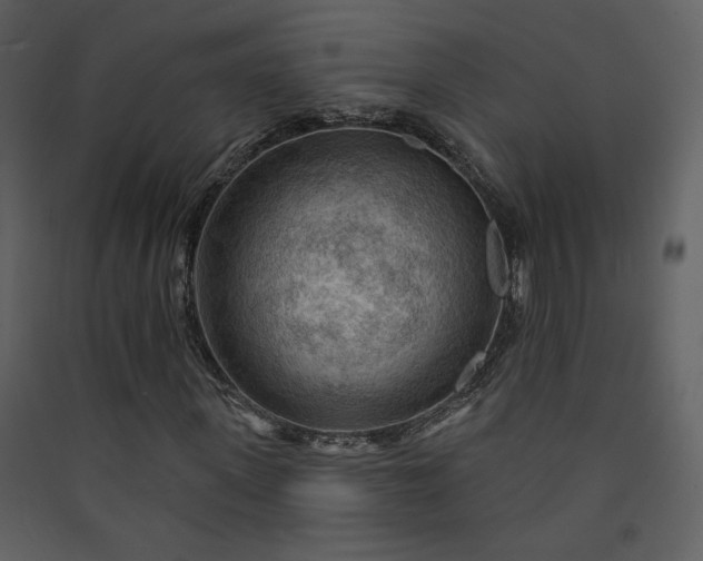X0000089910915200707131346