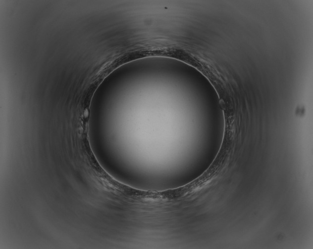 X0000089910916200707131346