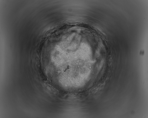 X0000089910917200707131346