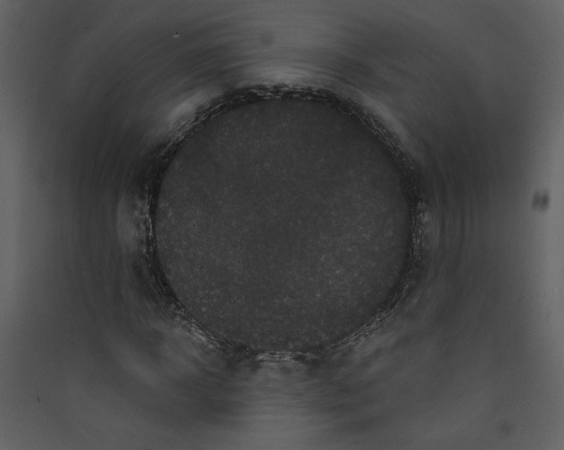 X0000089910918200707131346