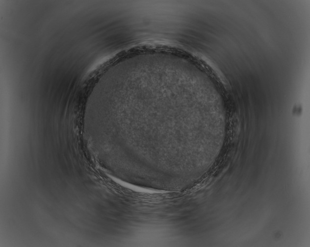 X0000089910919200707131346
