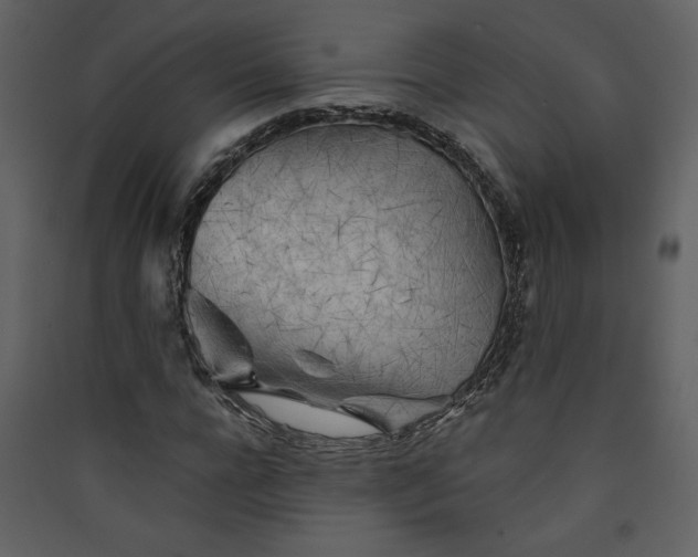 X0000089910920200707131346