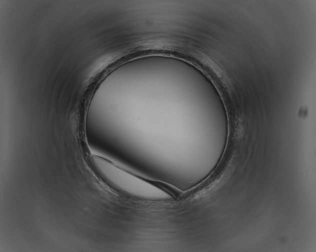 X0000089910922200707131346
