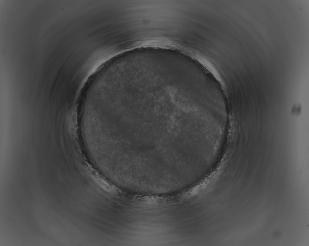 X0000089910923200707131346
