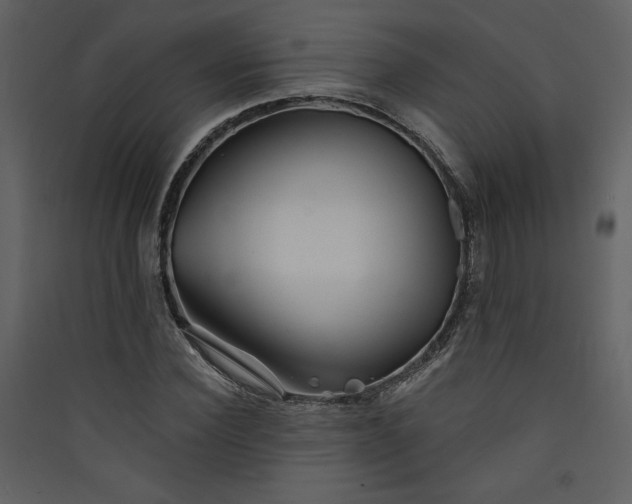 X0000089910924200707131346