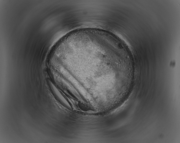 X0000089910925200707131346