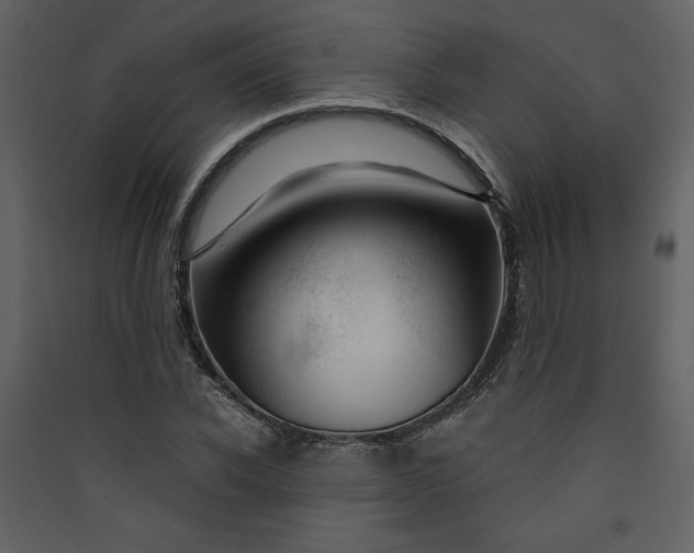 X0000089910926200707131346