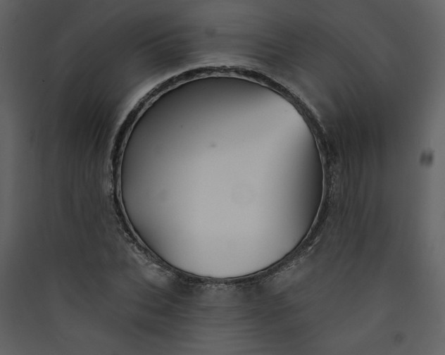X0000089910927200707131346