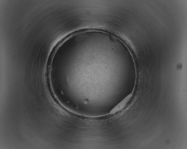 X0000089910928200707131346