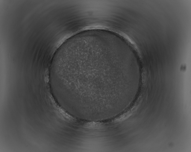 X0000089910929200707131346