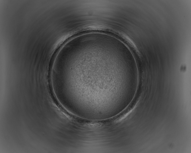X0000089910930200707131346