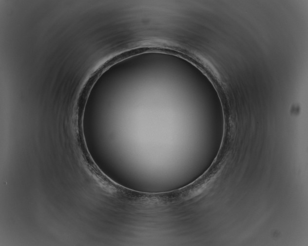 X0000089910931200707131346