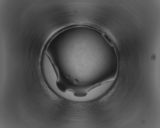 X0000089910932200707131346