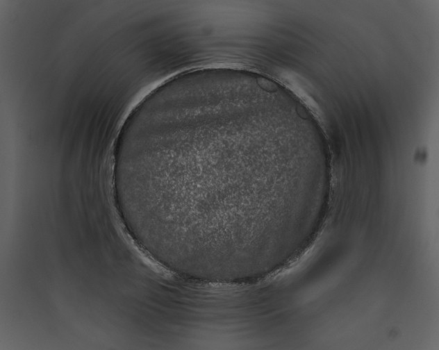 X0000089910933200707131346