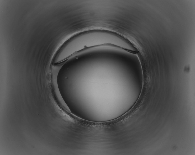 X0000089910934200707131346