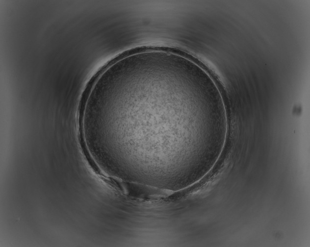 X0000089910935200707131346