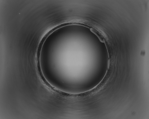 X0000089910936200707131346
