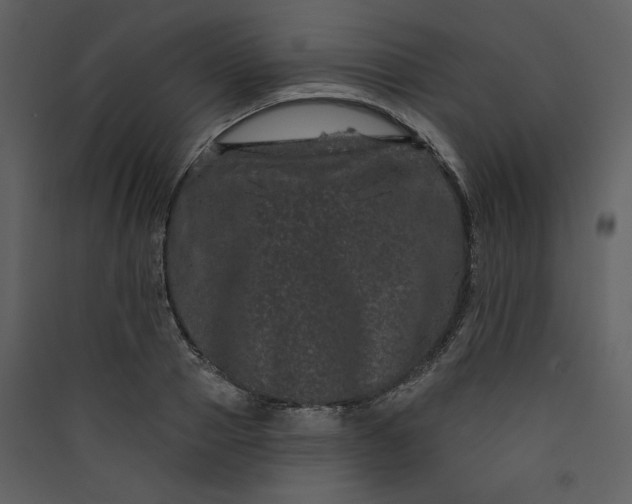 X0000089910937200707131346