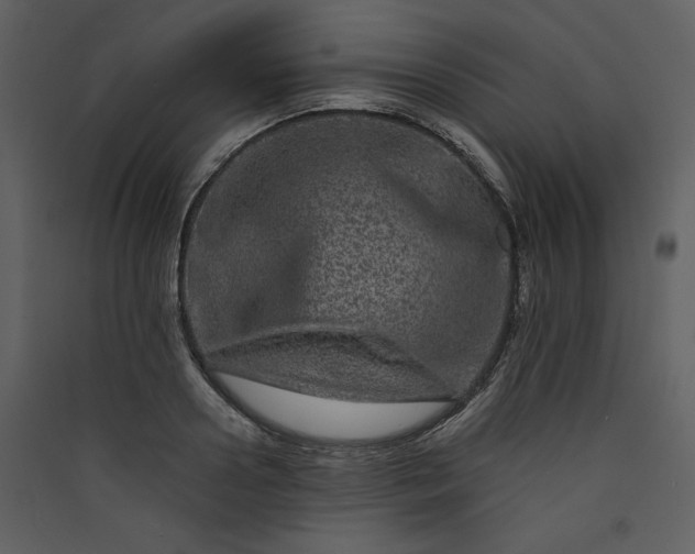 X0000089910938200707131346
