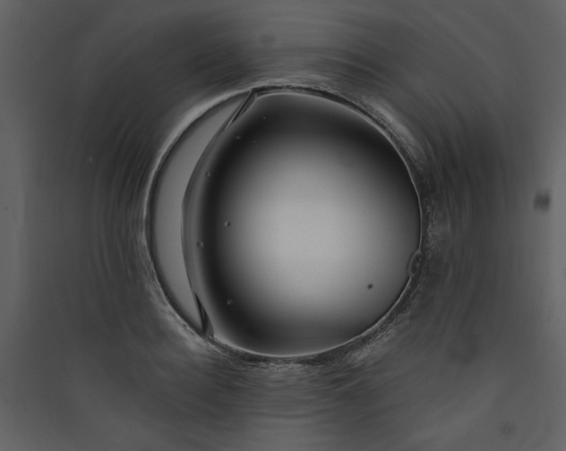 X0000089910940200707131346