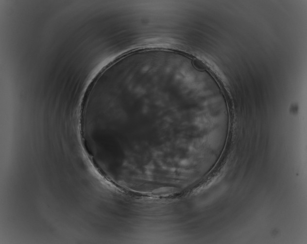 X0000089910941200707131346