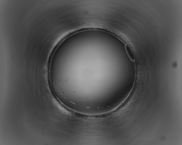 X0000089910942200707131346