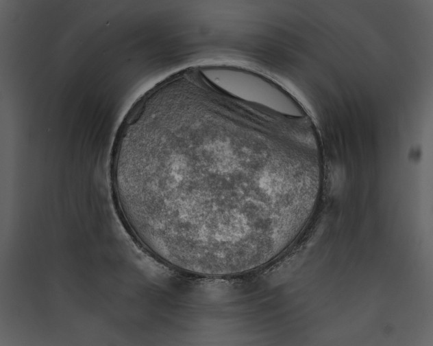 X0000089910943200707131346