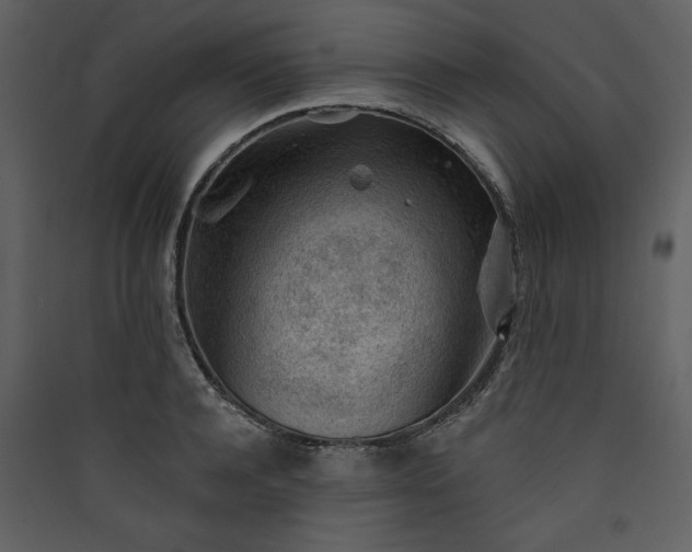 X0000089910944200707131346