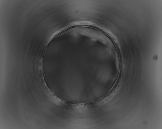 X0000089910945200707131346