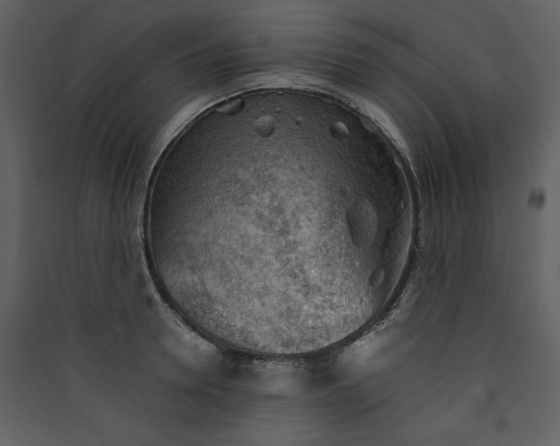 X0000089910946200707131346