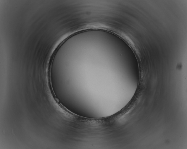 X0000089910947200707131346