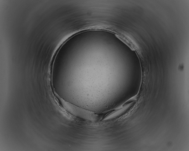 X0000089910948200707131346