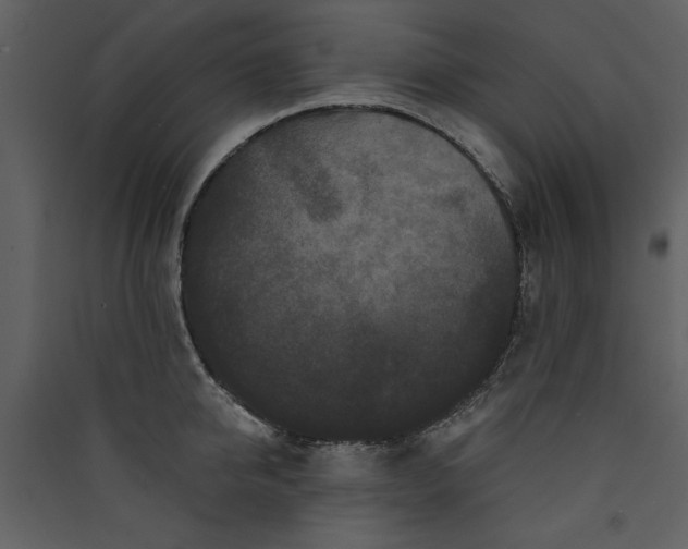 X0000089910950200707131346