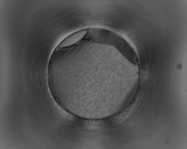 X0000089910951200707131346