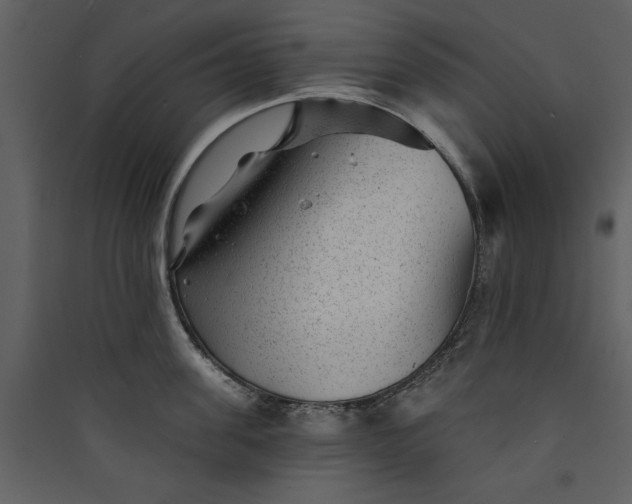 X0000089910955200707131346