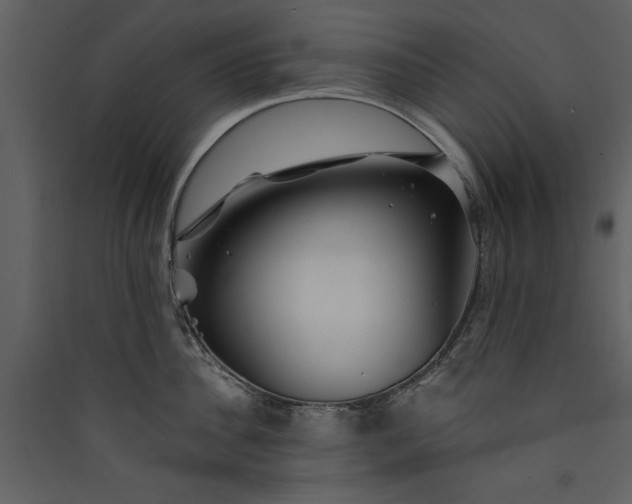 X0000089910956200707131346