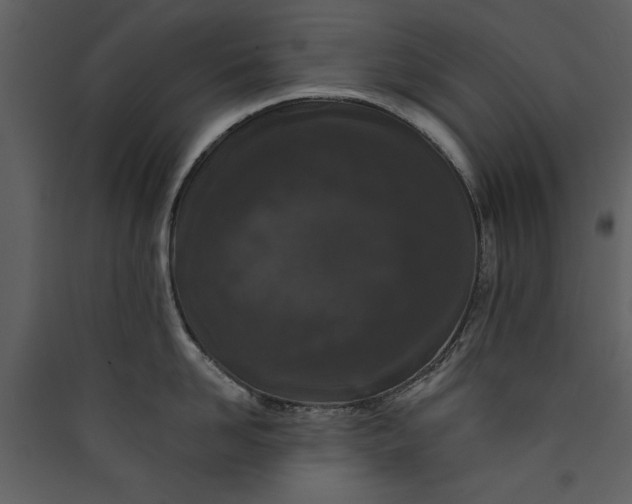 X0000089910958200707131346