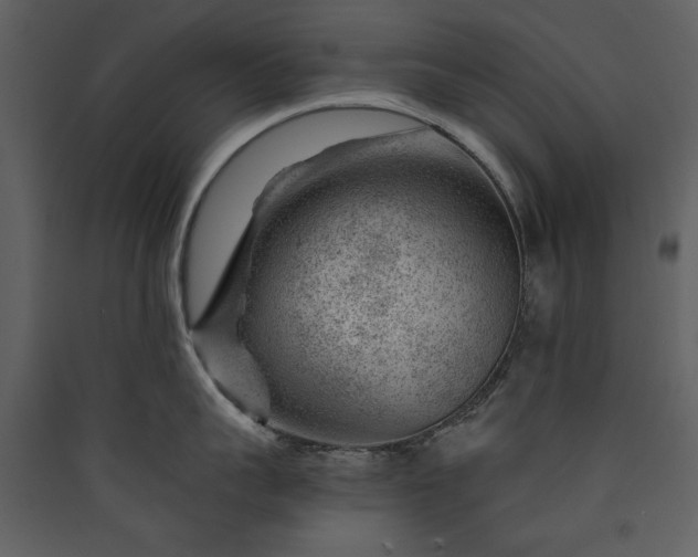 X0000089910959200707131346