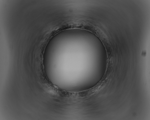 X0000089910961200707131346