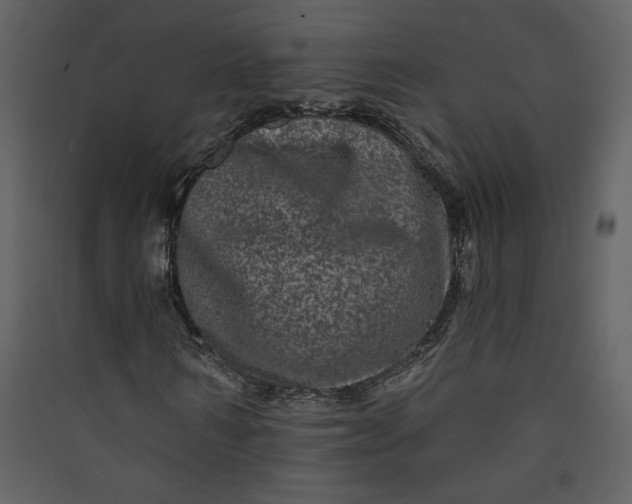X0000089910962200707131346