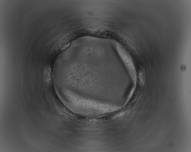 X0000089910963200707131346